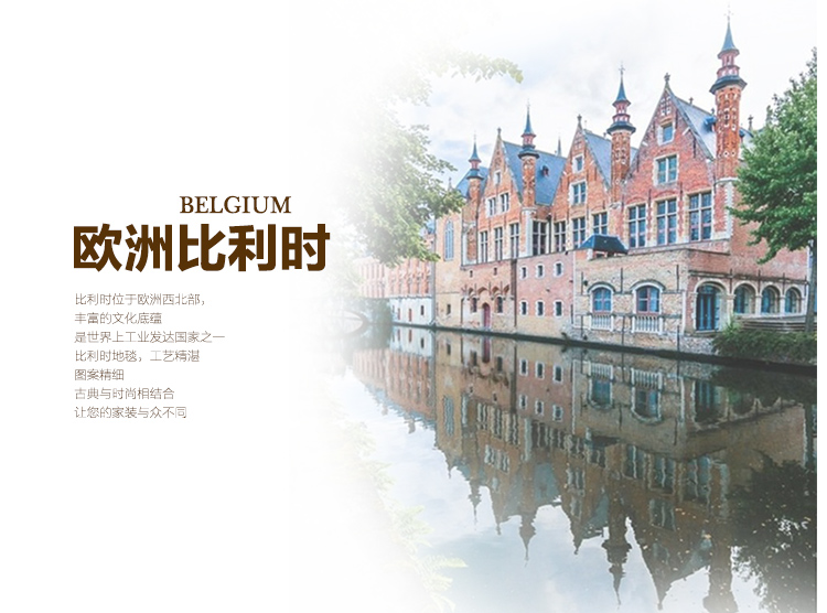 
                                        锦色华年奥伦欧洲进口地毯客厅茶几毯卧室床边大地毯 奥伦 1400MMx2000MM                
