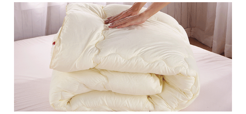 家纺 被子 杜威卡夫 杜威卡夫 被子 保暖双人春秋被 四季被芯 加厚羽