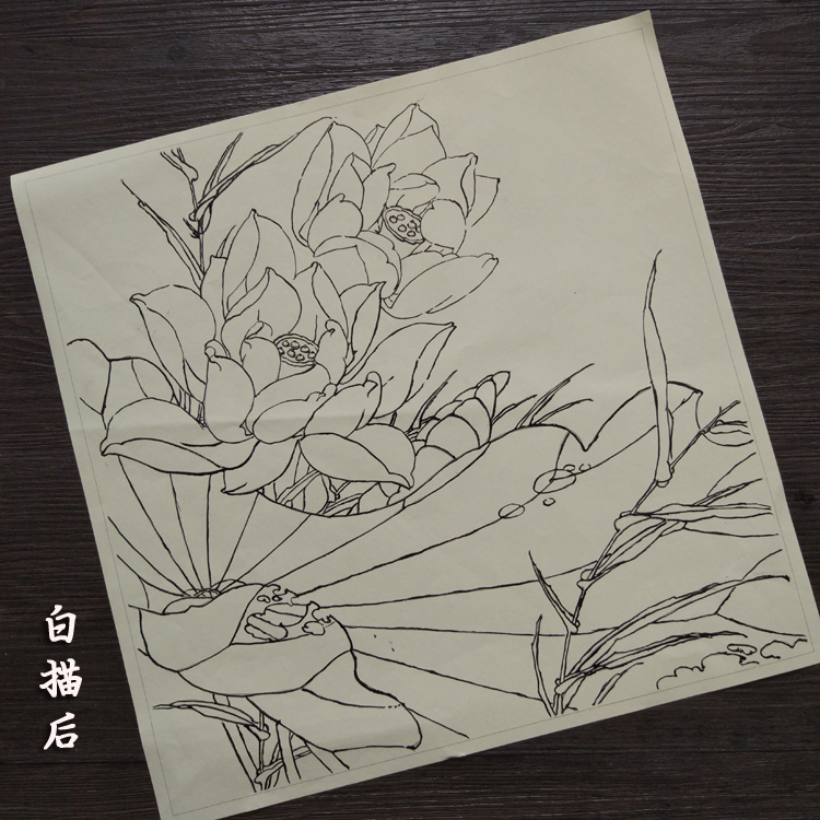 苏念工笔画熟宣纸白描底稿初学者入门临摹练习国画水彩花鸟虫鱼勾线4