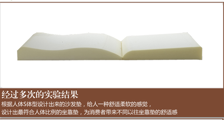 香舍丽人 实木沙发垫组合套装加厚贝壳绒坐垫海绵垫沙发保护垫 永久的爱 抱枕42X42CM