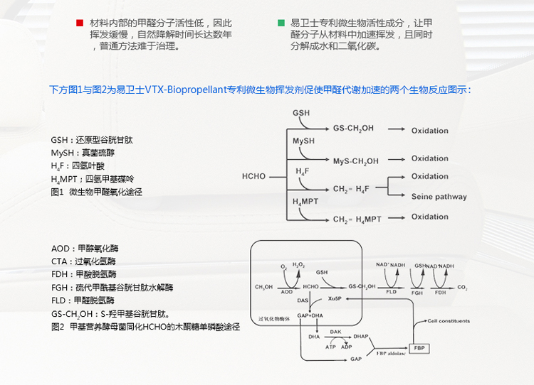 
                                        易卫士 德国进口汽车去甲醛清除剂车内除味喷剂 新车除甲醛喷雾车内异味净化秒杀光触媒包邮 单支装                