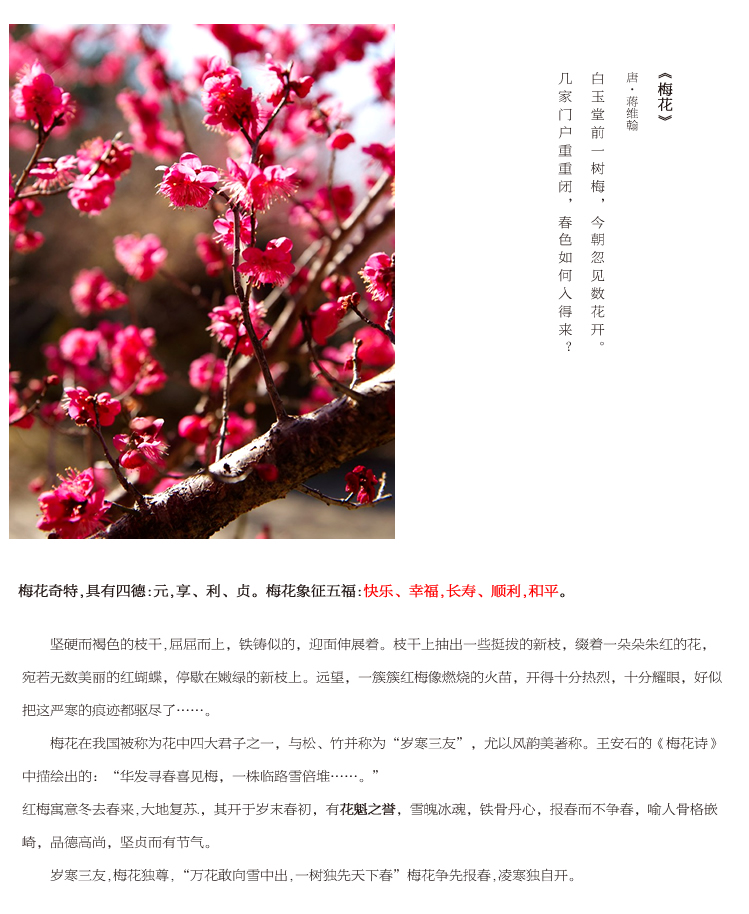 钻石画十字绣客厅新款钻石十字绣钻石绣卧室5d钻石画满钻砖石点钻石画梅兰竹菊十字绣梅花大幅 100*40cm魔方圆钻满钻升级版26切面更闪亮