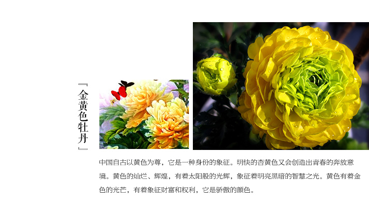 
                                        钻石画十字绣客厅新款钻石十字绣钻石绣卧室钻石画满钻砖石点钻石画花开富贵十字绣牡丹花贴钻 150*58cm 魔方圆钻满钻升级版26切面更闪亮                