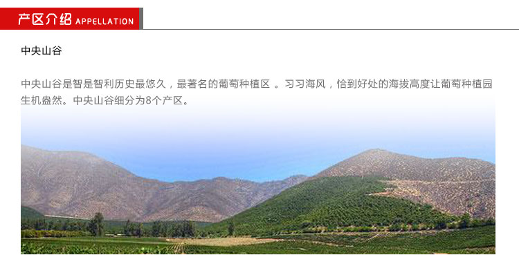 智利进口红酒万宝龙赤霞珠\/解百纳原瓶原装干