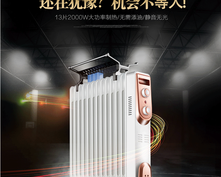 取暖器 电热油汀式电暖器电暖气片家用恒温静音节能 电油丁 9片白色