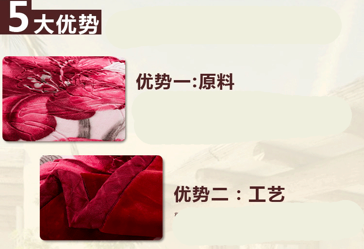 
                                        拍下9折碟恋花家纺冬毯加厚毛毯 拉舍尔毛毯毛毯被加厚双层拉舍尔单人双人毯子 牡丹花开 优质版180*220cm 5.6斤                