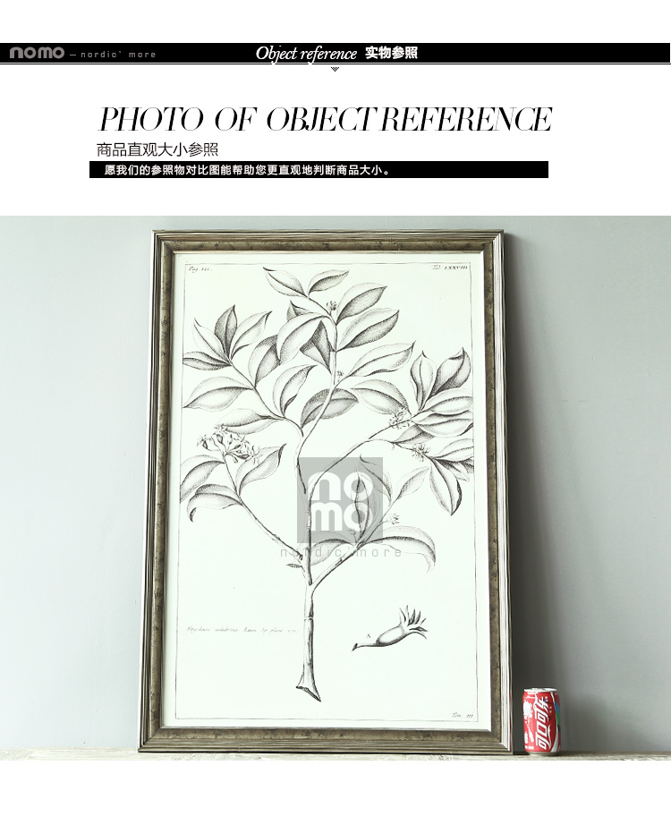售完无补 NOMO art deco美式素描画客厅玄关装饰画挂画 花鸟风景 达尔文笔记 A款