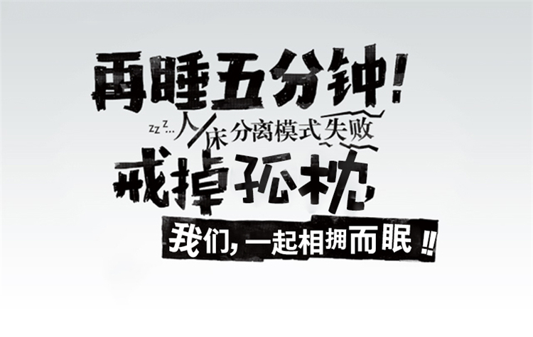 
                                        欧莉斯（olies）水洗长枕头双人枕1.2/1.5/1.8米情侣双人枕头枕芯 长枕芯+婉君枕套1.5米                