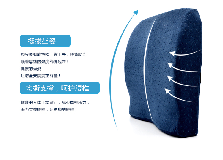 
                                                                                温伦靠垫腰靠太空记忆棉慢回弹腰靠腰枕靠枕办公室靠垫靠背垫腰汽车护腰靠垫坐垫两用学车加高坐垫 紫色                
