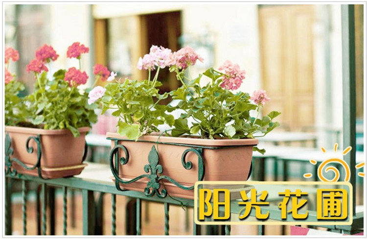 
                                        原始风 可移除墙贴 客厅电视沙发走廊窗户玻璃背景贴花环保装饰 盆景                