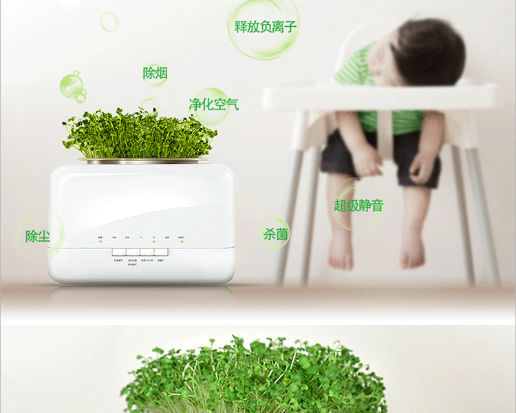 天然植物空气净化器加湿器迷你家用办公室负离子氧吧除甲醛杀菌PM2.5二手烟