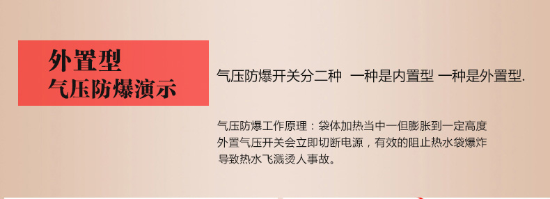 泉力 电热水袋充电防爆 电暖宝暖宝宝暖手宝暖腰宝 可爱狮子