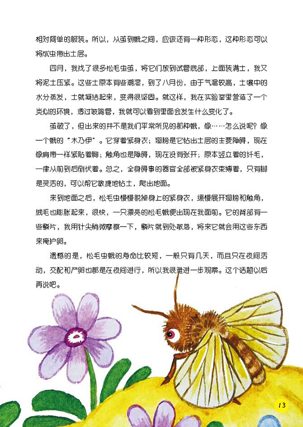 昆虫记 毛虫的故事—松毛虫,叶甲