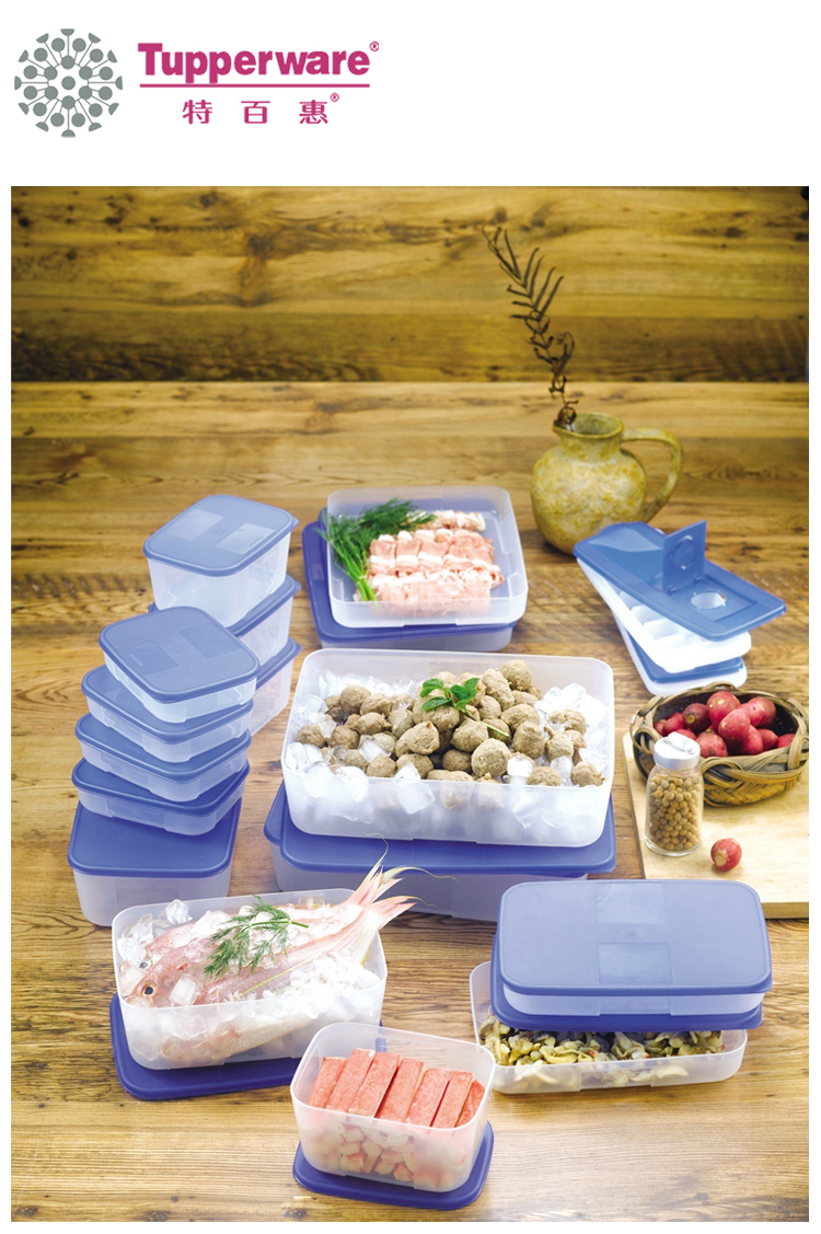 特百惠 冷冻冷藏保鲜盒 饺子盒 鱼丸保鲜 鲜肉保鲜 3300毫升