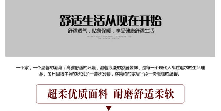 
                                        典奈家居 短毛绒实木沙发坐垫 硬质棉红木沙发单人座三人座座垫 简约生活浅咖 坐垫52*106cm                