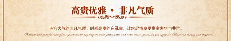 
                                        博艺佳  东南亚高档古典家居挂画 客厅  玄关 走廊 装饰画纯手绘抽 孔雀玄关画 100*200CM物流自提                