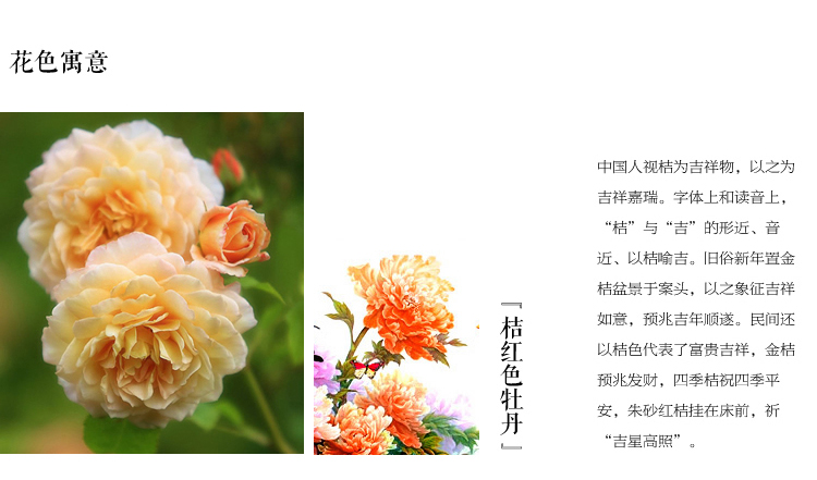 
                                        钻石画十字绣客厅新款钻石十字绣钻石绣卧室钻石画满钻砖石点钻石画花开富贵十字绣牡丹花贴钻 150*58cm 魔方圆钻满钻升级版26切面更闪亮                