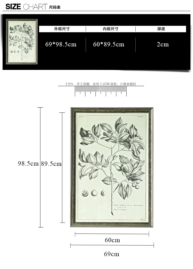 售完无补 NOMO art deco美式素描画客厅玄关装饰画挂画 花鸟风景 达尔文笔记 A款