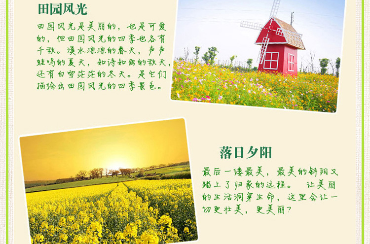 
                                        豆豆窝 卧室可移除墙贴纸 客厅电视背景墙贴画 9139 栅栏风车 60*90cm                