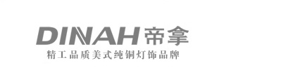 
                                                            帝拿 欧式客厅全铜落地灯高端沙发茶几高脚灯别墅复式楼立式台灯                
