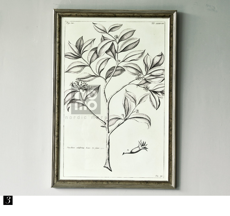 售完无补 NOMO art deco美式素描画客厅玄关装饰画挂画 花鸟风景 达尔文笔记 A款