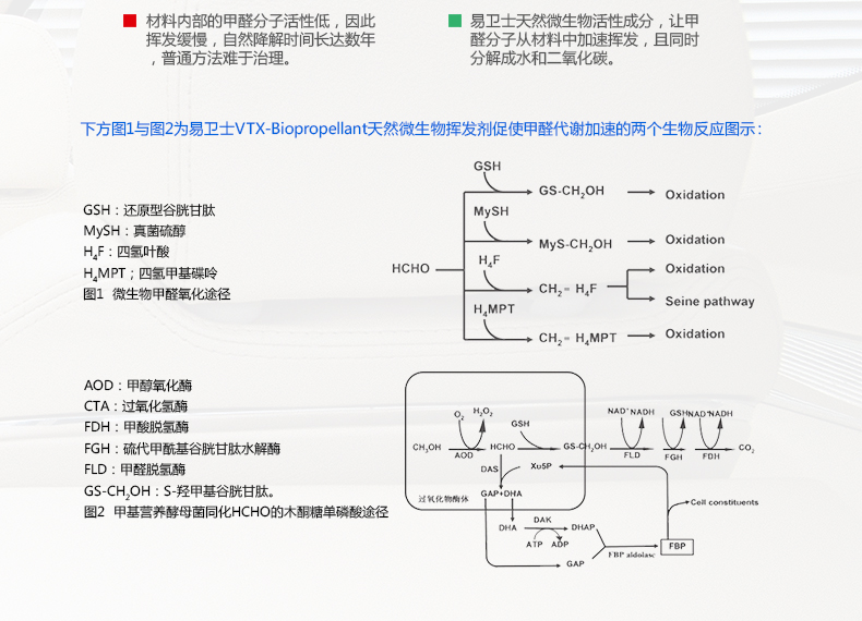 德国进口汽车除味剂 新车除甲醛除异味喷雾车用甲醛清除剂 车内除味剂光触除臭空气净化剂包邮 汽车除醛净味大礼包