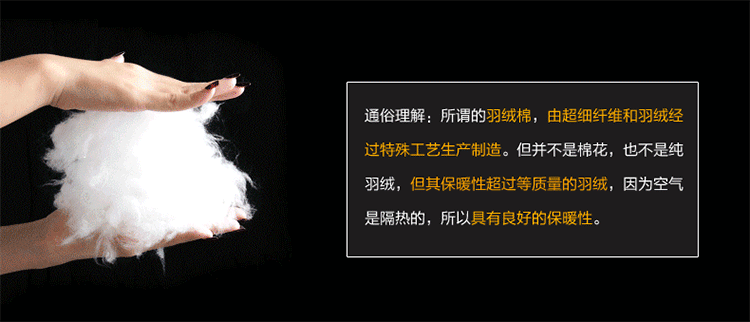 轻熙2015新款棉衣女式马甲短款韩版秋冬连帽显瘦马夹女 黑色 XXL