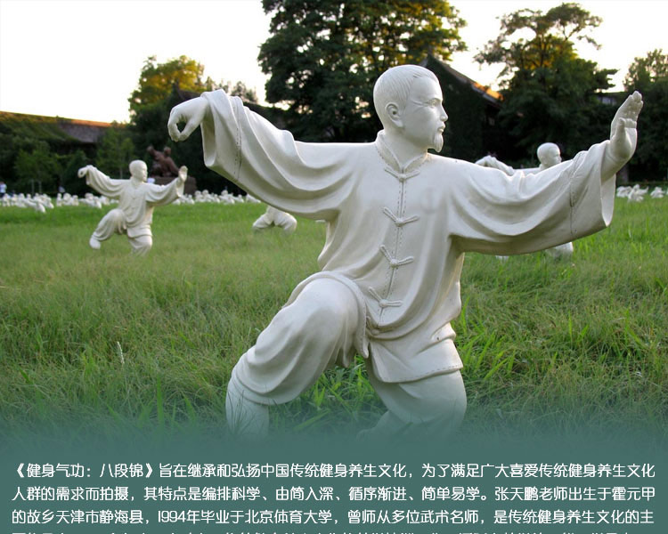 正版健身气功八段锦教学视频教程示范讲解教材光盘dvd