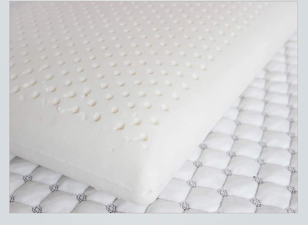 金橡树乳胶面包枕 团购 - 京东团购全国站