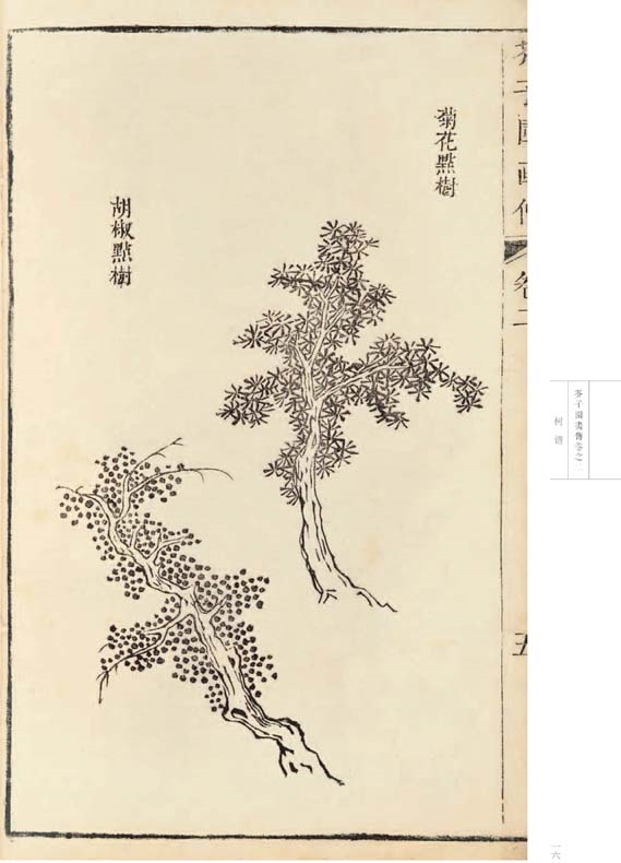 正版现货防伪 康熙原版 芥子园画传 芥子园画谱 8开本12册 花鸟山水卷