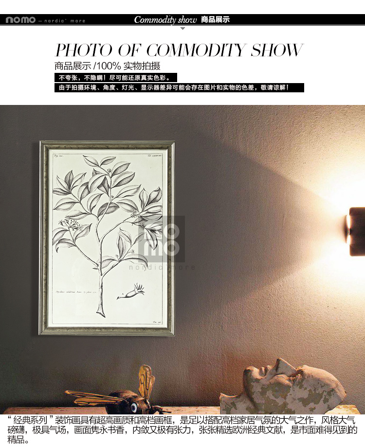 售完无补 NOMO art deco美式素描画客厅玄关装饰画挂画 花鸟风景 达尔文笔记 A款
