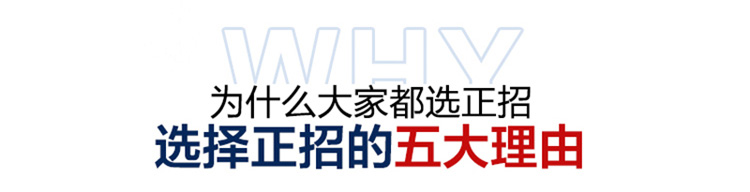 
                                        正招气囊式自动排水头盔式帽檐摩托车雨披电动车雨衣 加大加长时尚透明帽檐雨披 正招雨衣+充气筒双人加大P14-D酒红                