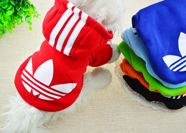 Pets Allowed Clothes Campaign sweater/Fall/Winter Collections dog clothing/small dog clothes tedu VIP than Xiong puppies Hiromi autumn and winter Load Color random al panda sweater S picture, prices, brand platters! The elections are supplied in the national character of distribution, so action, buy now enjoy more preferential! As soon as possible.