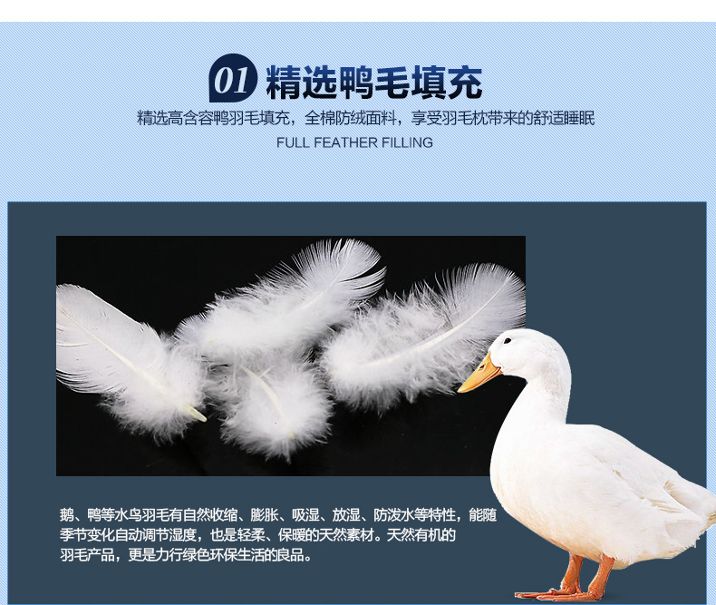 
                                                            恒源祥家纺 床上用品舒适颈椎枕头芯花草枕芯荞麦枕单个 纯荞麦枕 48*74cm 甜荞                