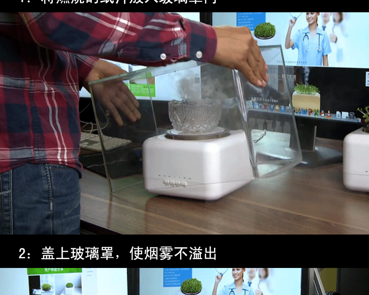 天然植物空气净化器加湿器迷你家用办公室负离子氧吧除甲醛杀菌PM2.5二手烟
