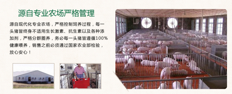 好得睐300g比较美食大排私房五香猪排半成品简单的街头美食油炸图片