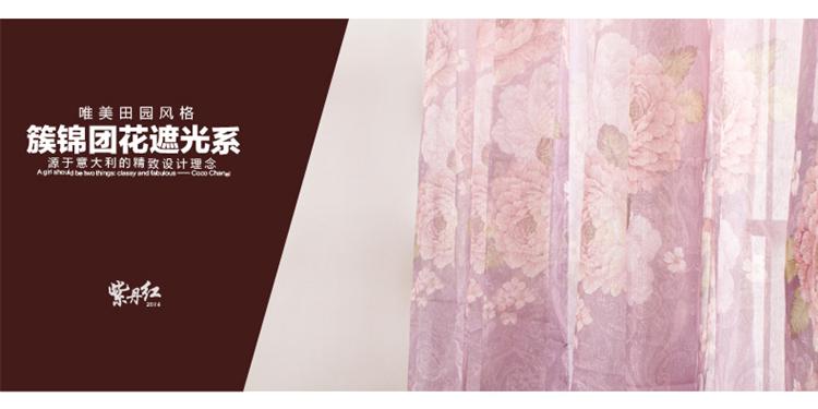 意萨立德ISALIT卧室客厅简约结婚房成品遮光布唯美蒲公英窗帘布 蒲公英布-打孔式 宽2.5m*高2.5m一片