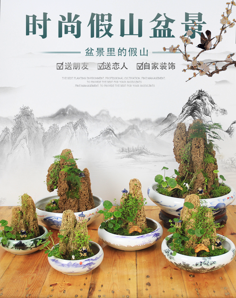 上水石 盆景 假山吸水石山水盆景奇石摆件带植物整套