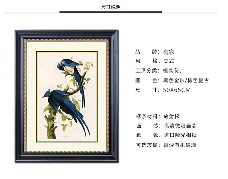 有家 装饰画客厅书房挂画餐厅新古典花鸟双飞燕两联画玄关壁画美式有框画 双飞燕A单件 50*65cm成品尺寸