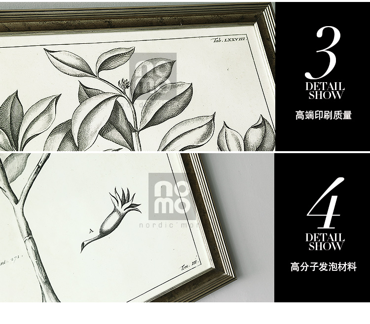 售完无补 NOMO art deco美式素描画客厅玄关装饰画挂画 花鸟风景 达尔文笔记 A款