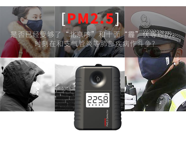 
                                        艾吉奥家用PM2.5检测仪雾霾PM2 5检测仪粉尘检测仪器霾表空气质量检测仪环境测霾监测仪 釉底红                