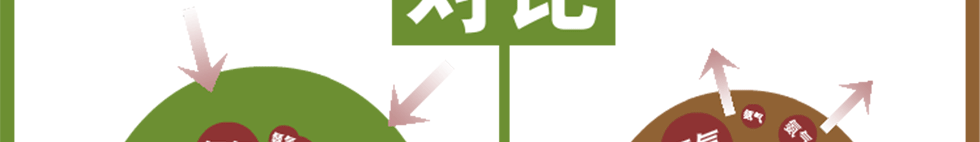 汝森堡碳晶离子除味包新房室内装修祛除异味活性碳炭包去甲醛家居吸味剂除湿防潮剂吸湿盒袋