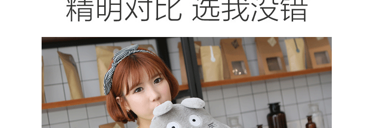 韩版创意卡通双插手防爆充电热水袋暖手宝电暖宝暖水袋毛绒叮当猫暖手宝创意礼品送 龙猫