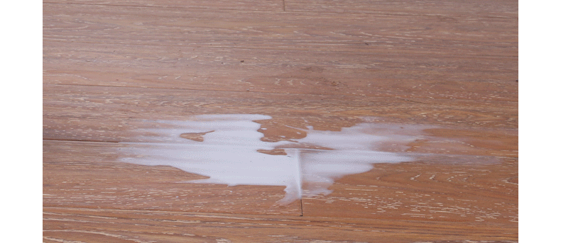 太太乐大号加宽平板胶棉拖把 吸水海绵地拖拖布 可旋转墩布