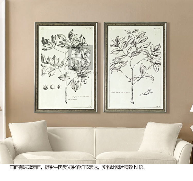 售完无补 NOMO art deco美式素描画客厅玄关装饰画挂画 花鸟风景 达尔文笔记 A款