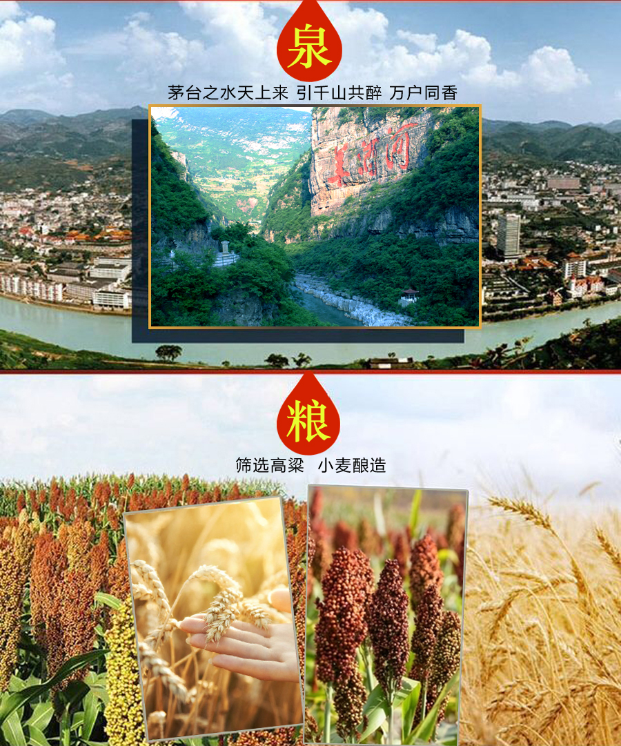 贵州茅台集团 茅台醇 52度 封藏原浆T20 【送小