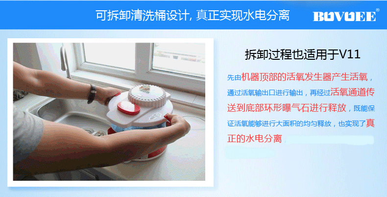 
                                        洁游BOVOEE 果蔬消毒清洗机 洗菜机 水果蔬菜清洁器 白色                