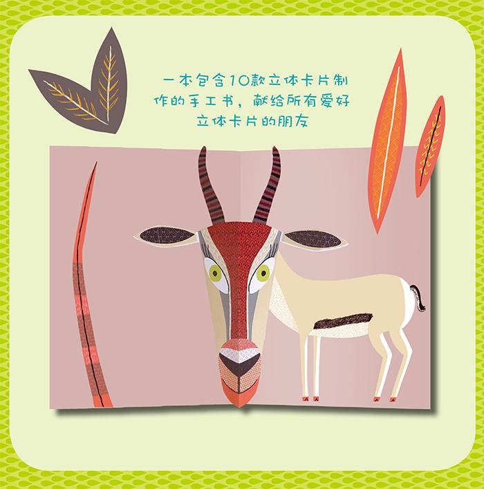 小手动动(一起探索神秘丛林) 法埃米莉拉佩尔编绘 少儿 书籍