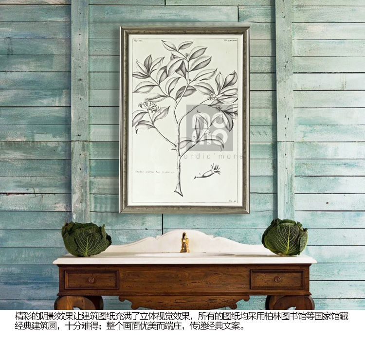 售完无补 NOMO art deco美式素描画客厅玄关装饰画挂画 花鸟风景 达尔文笔记 A款