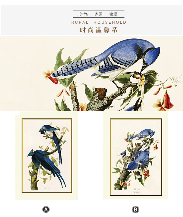 有家 装饰画客厅书房挂画餐厅新古典花鸟双飞燕两联画玄关壁画美式有框画 双飞燕A单件 50*65cm成品尺寸